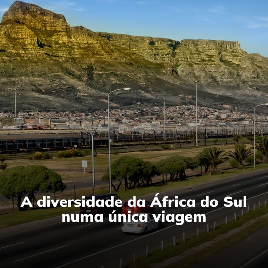 África do Sul com Safari - Pacote Turístico - Turvicam