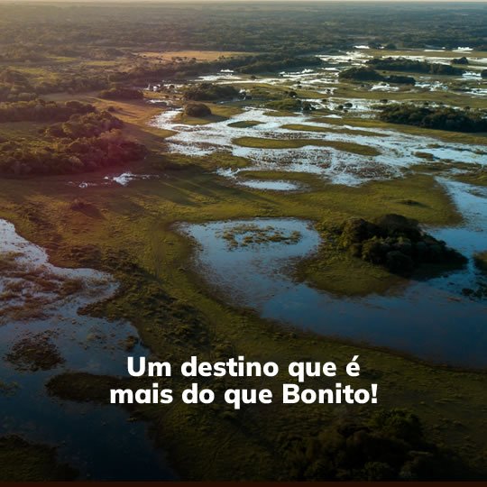 Bonito com Pantanal - Pacote Turístico - Turvicam