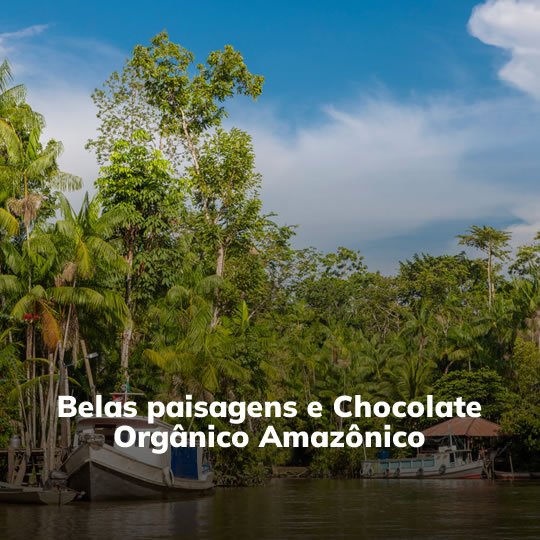 Combu dos Cheiros e Sabores Amazônicos - Passeio Regional - Turvicam