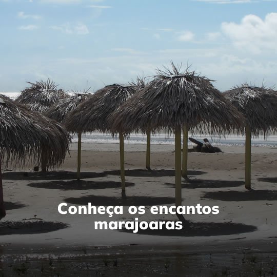 Belém e Ilha do Marajó - Passeio Regional - Turvicam