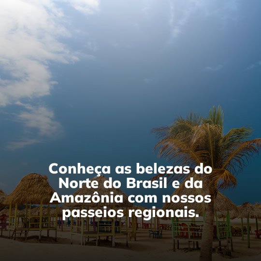 Passeios Regionais Turvicam