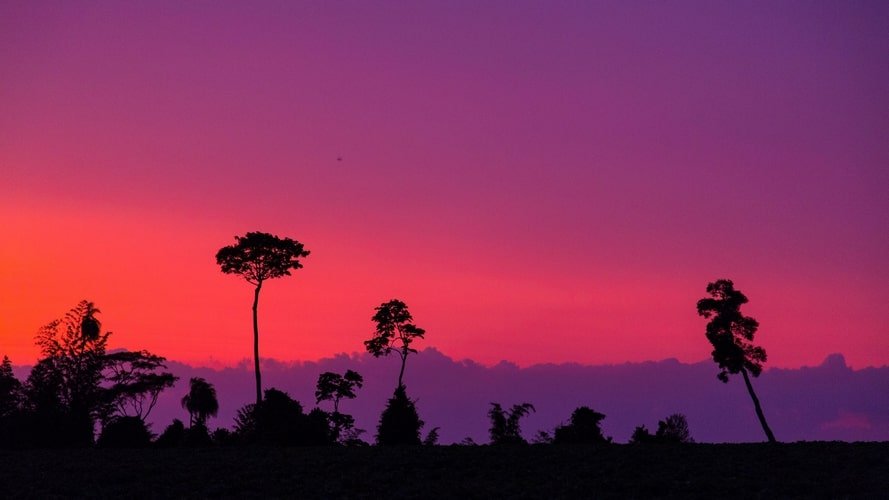 Bonito com Pantanal - Pacote Turístico - Turvicam