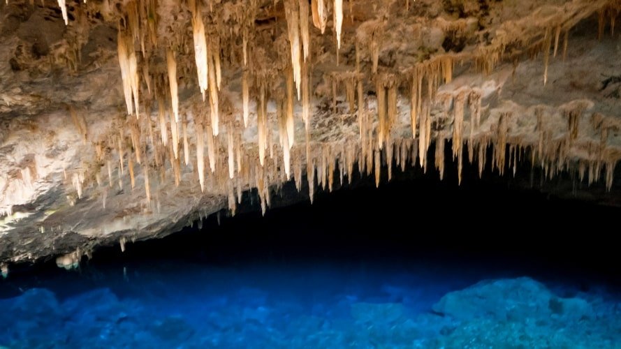 Bonito com Pantanal - Pacote Turístico - Turvicam
