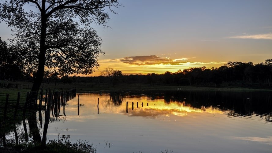 Bonito com Pantanal - Pacote Turístico - Turvicam