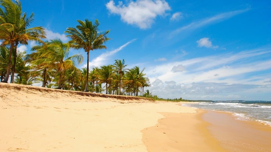 Litoral do Brasil - Pacote Turístico - Turvicam