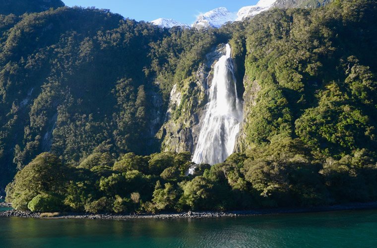 Nova Zelândia Turvicam