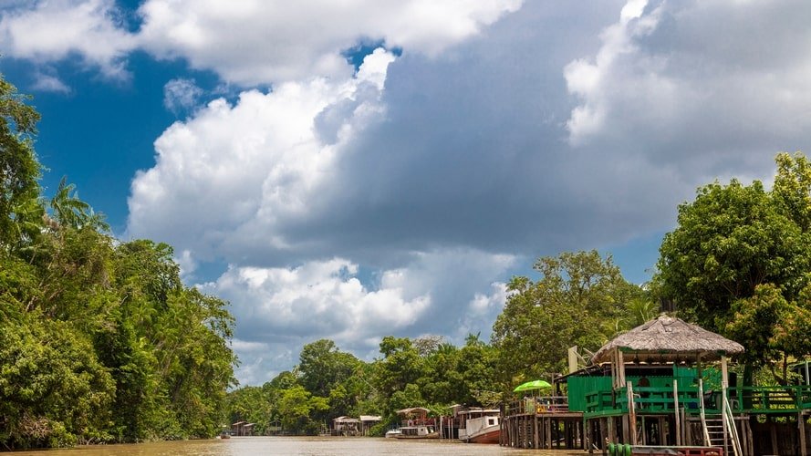 Conheça as palafitas coloridas pelos grafites da Ilha do Combu e seus sabores como o Chocolate Orgânico Amazônico.