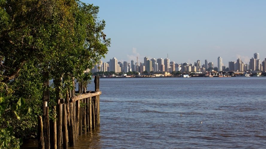Conheça as palafitas coloridas pelos grafites da Ilha do Combu e seus sabores como o Chocolate Orgânico Amazônico.