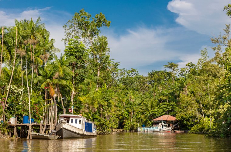 Combu dos Cheiros e Sabores Amazônicos Turvicam