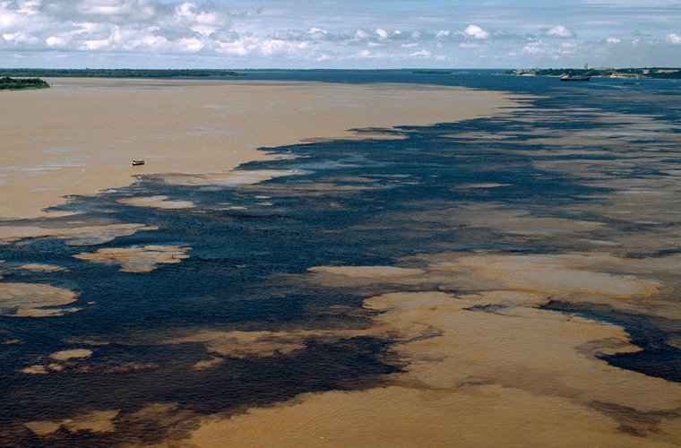 Amazônia pelo Rio Negro Turvicam