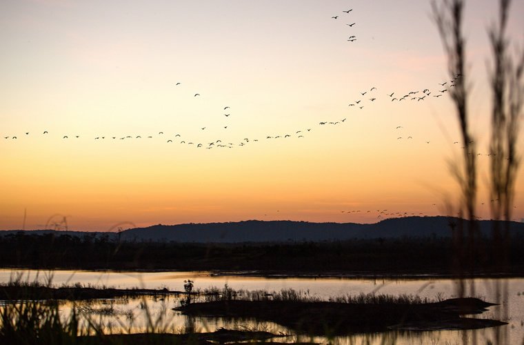 Ilha dos Papagaios, Furos & Igarapés Turvicam