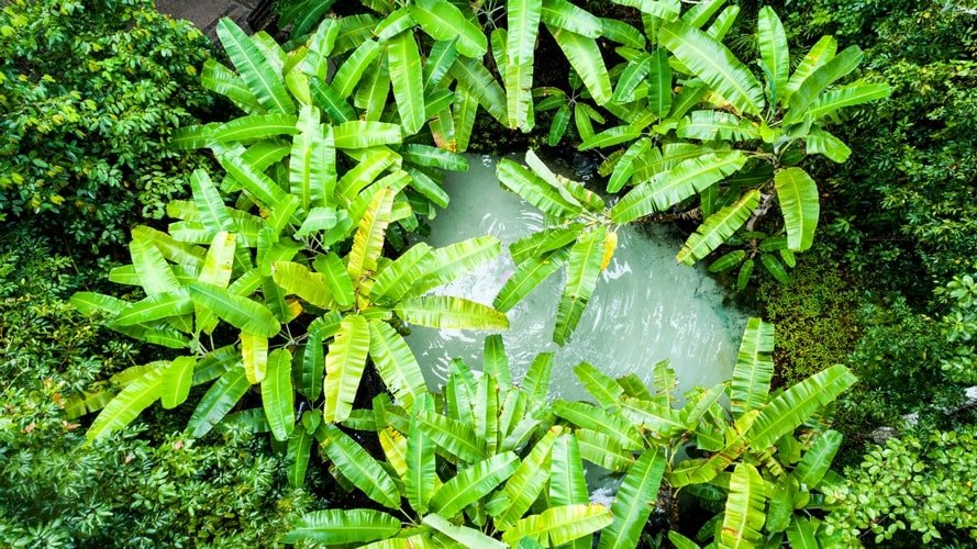 Jalapão e suas dunas - Passeio Regional - Turvicam