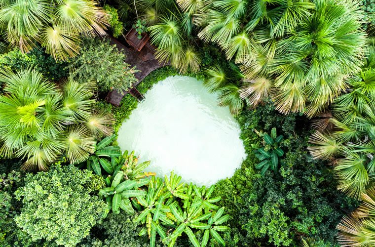 Jalapão e suas dunas Turvicam