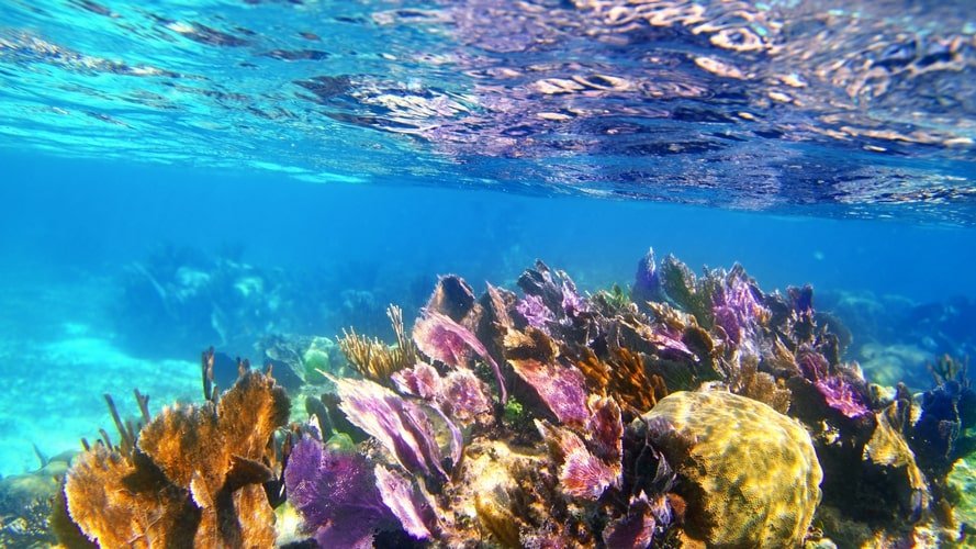 La Casa de La Playa o novo hotel boutique do Caribe - Turvicam - Sua Agência de Viagens e Turismo em Belém