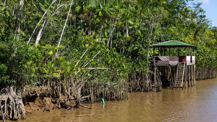 Ilha dos Papagaios, Furos & Igarapés - Passeio Regional - Turvicam