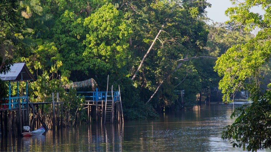Ilha dos Papagaios, Furos & Igarapés - Passeio Regional - Turvicam