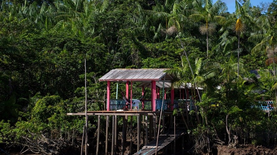 Ilha dos Papagaios, Furos & Igarapés - Passeio Regional - Turvicam