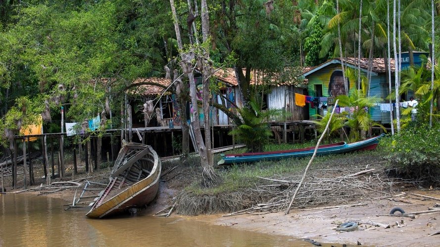 Ilha dos Papagaios, Furos & Igarapés - Passeio Regional - Turvicam
