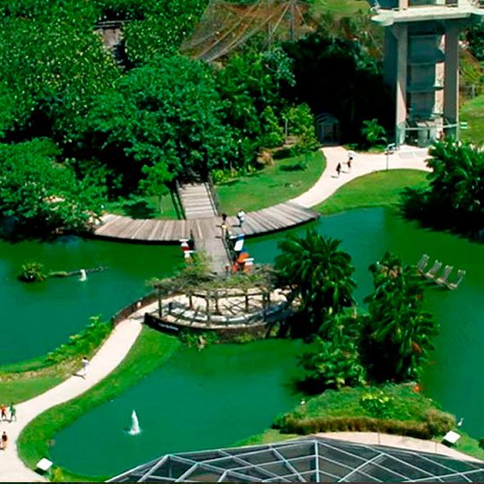 Passeios ecológicos