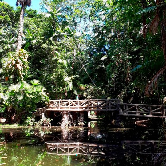 Bosque Rodrigues Alves